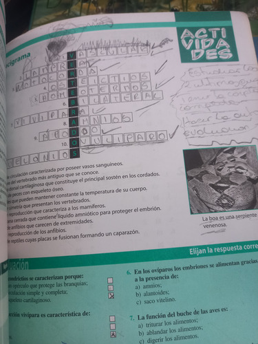 Biología 2 Doce Orcas Secundaria (Usado)