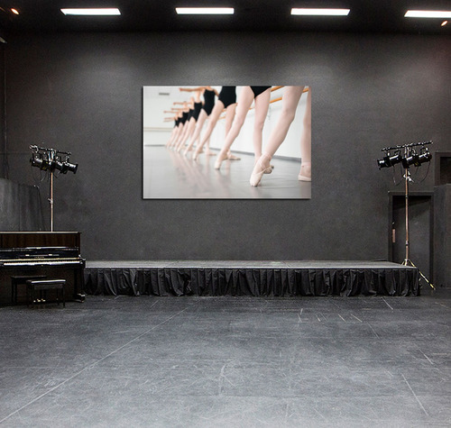 Vinilo Decorativo 40x60cm Ballet Tutu Danza Clase Baile