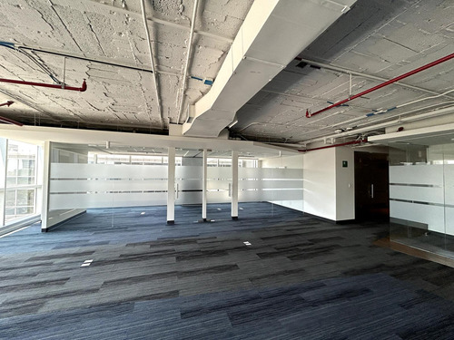 Oficina En Renta - Masaryk Piso 7 - 511 M2