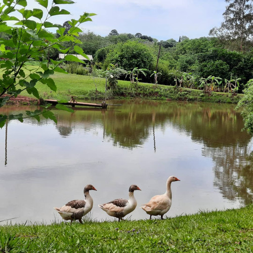 Quinta-camping-s.isidro-pdas.mnes.casa-3 Lagos C/peces-.ting