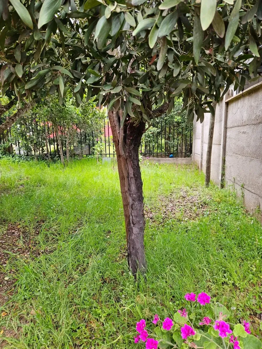 Imagen 4 de 22 de Se Vende Linda Casa, El Quisco
