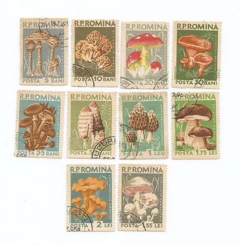 Selo Romênia,série Flora Cogumelos Comestíveis 1958,usado.