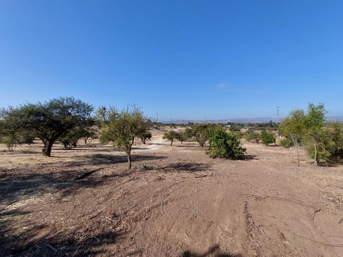 Se Vende Terreno Orilla Calle Los Laureles Limache