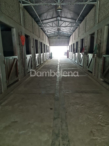 Imagen 26 de 30 de Campo En Venta - General Rodríguez - G.b.a. Zona Oeste