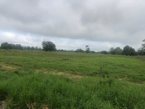 Finca En Venta En Municipio Colón A 20min Del Vigía 