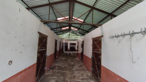 Imagem 10 de 30 de Mini Haras - 213 - 70588973