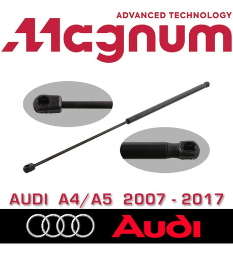Amortiguador Bombín Capot Audi A4 A5 (2007 - 2017)
