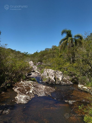 Imagen 2 de 20 de Chacras Financiadas En Aiguá - Maldonado