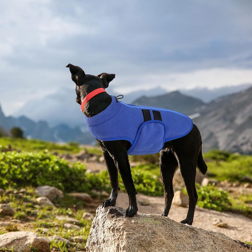 Chaleco Para Perro Pequeño Queenmore De Polar Suave