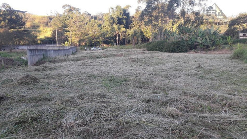 Imagem 5 de 7 de Terreno Residencial À Venda, Jardim Josely, Itaquaquecetuba - Te0213. - Te0213