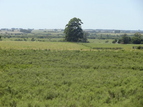 Campo En Venta En Las Cañas