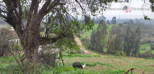 Parcela En Venta En Quillota