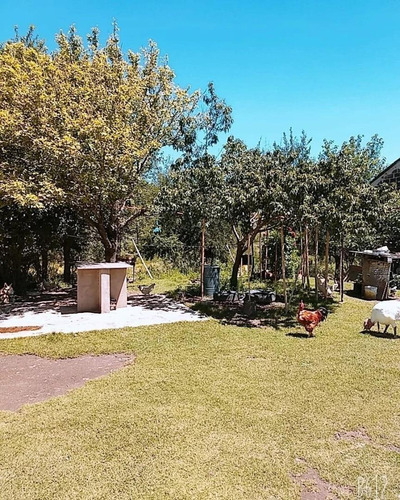 Imagen 7 de 15 de Campo Calmayo
