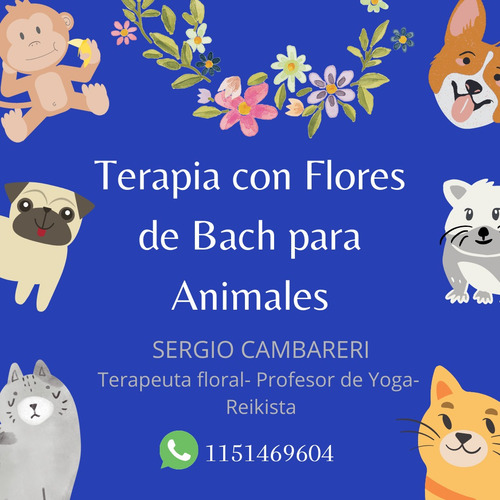 Imagen 3 de 5 de Clases De Yoga, Meditacion, Reiki Y Terapia Floral Bach