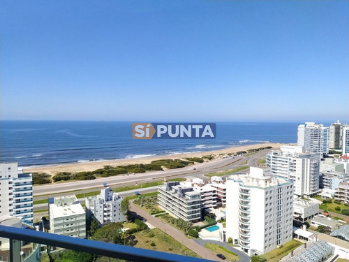 Imagen 5 de 30 de Oportunidad