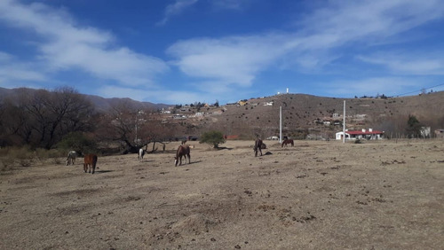 Imagen 3 de 3 de Ovejeria