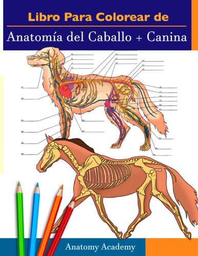 Libro: Libro Para Colorear De Anatomía Del Caballo + Canina: