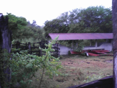 Imagen 6 de 11 de Venta De Rancho En Ciudad Valles, San Luis Posoti