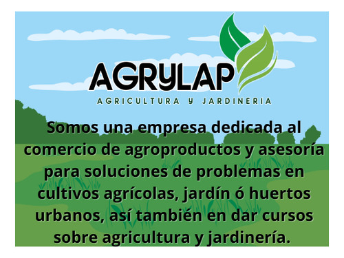 1 Sobre De Semillas De Salvia