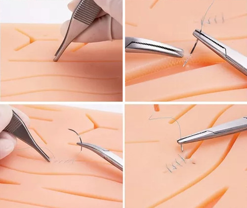 Kit De Práctica De Suturas Modelos Anatómicos Para Estudiant