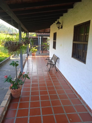 Imagen 13 de 28 de Vende Espectacular Finca La Esperanza En El Municipio San Cristobal, Estado Tachira. Lino Juvinao