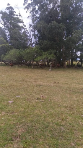 Se Vende Buen Campo En Pan De Azúcar (maldonado) Ruta 60