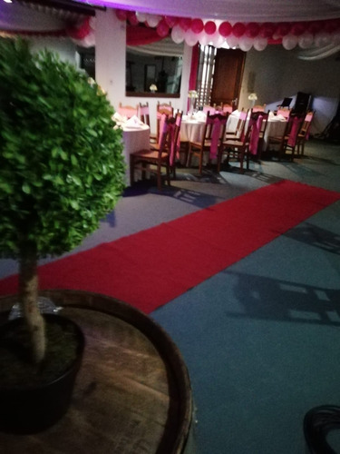Imagen 5 de 8 de Chacra, Salón De Fiesta, Económico, 15 Años, Bodas, Infantil