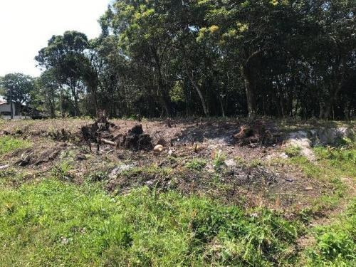 Imagem 5 de 7 de Chácara Litoral Sul Lado Serra 1650m²-ref. 4588/dz