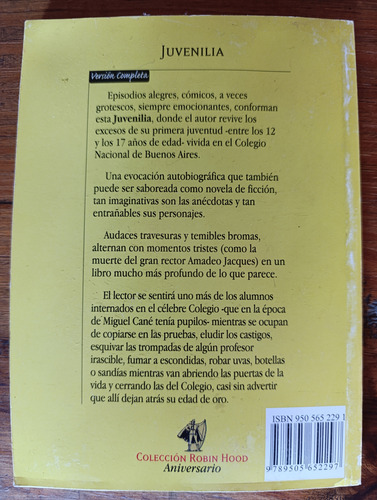 Juvenilia - Colección Robin Hood, Miguel Cané