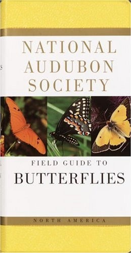 La Guía Nacional De Campo Sociedad Audubon De Las Mariposas 