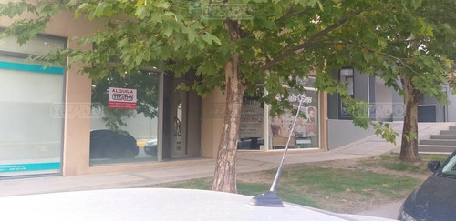 Oficina En Alquiler Ubicado En Neuquen Capital, Neuquén, Patagonia