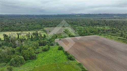 Agrícola En Venta En Lago Ranco La Unión