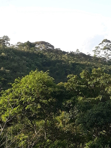Imagem 5 de 9 de Duas Fazendas 20.000m2 Cada. Caeté A 50km De Bh