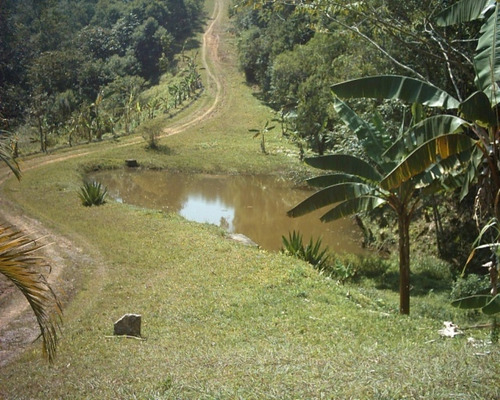 Imagem 9 de 23 de Fazenda Ideal Para Investimentos - 187 - 32982530