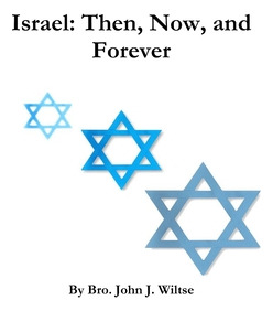 Libro Israel: Then, Now, And Forever - Wiltse, John J.