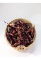Comprar Chapulines Premium Sal Y Limón 250 Gr