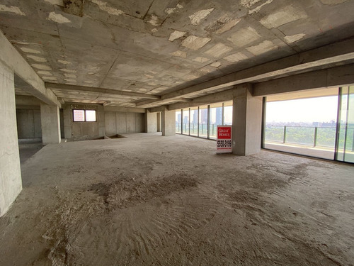 Imagen 5 de 12 de Penthouse 527m2 En Venta Frente Al Bosque De Chapultepec