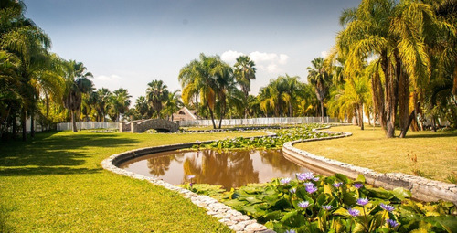 Imagen 7 de 14 de Venta Quinta Yautepec Morelos 12000m2 Espectacular