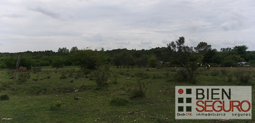 Chacra De 36,2440 Hás, Monte Nativo En Venta En Toledo Chico
