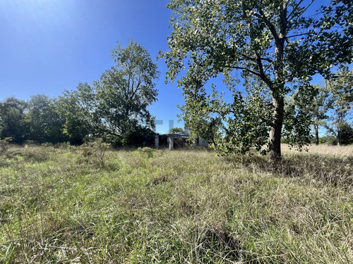 Venta Campo/ Terreno, Apto Desarrollo. Calle 135 Y 443 Bis