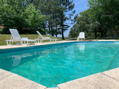 Chacra Con Arroyo De Casi 19 Hectáreas Disponible En Venta- Ref: 28488