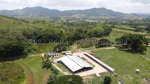 Julio Latouche 25-16896 Finca Ganadera En Venta Carabobo, 267 Hectáreas, Casa Principal De 550 Mts2, Dos Lagunas Para Riego.