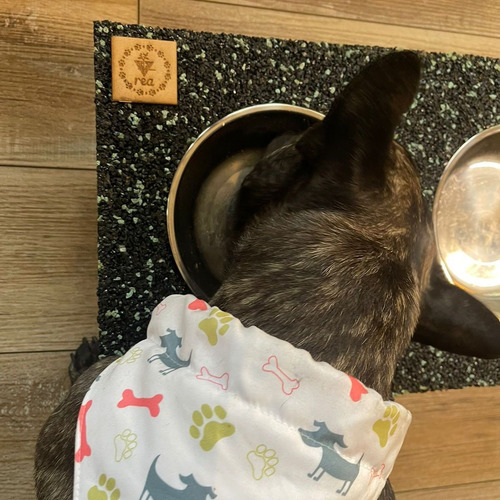 Comedero Pets De Caucho Reciclado Para Razas Pequeñas