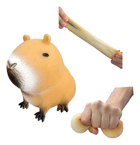 3 Capibaras Estirable Capybara Elástico Juguetes Anti Estrés
