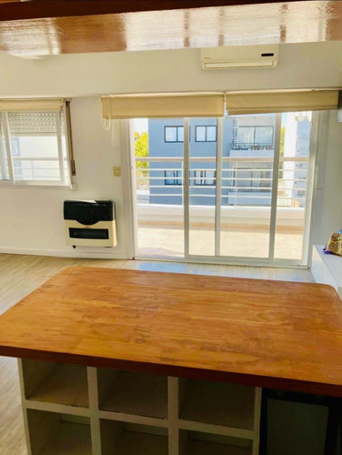 Imagen 5 de 13 de Departamento En Venta En Parque Chas