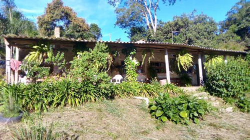 Imagem 1 de 15 de Linda Chácara Em Luis Carlos - Bich30006
