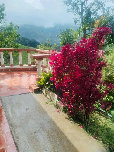 Excelente Oportunidad De Inversion Finca En Barbosa Vereda Tamborcito.