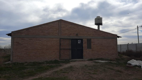 Imagen 1 de 15 de Chacra En Alquiler - Galpón - Ciudad Industrial - Neuquén