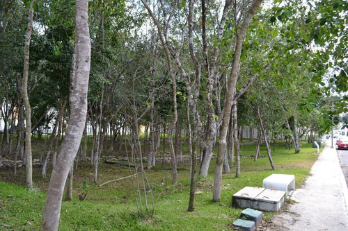 Imagen 21 de 22 de Casa En Venta En Marsella Playa Del Carmen Quintana Roo