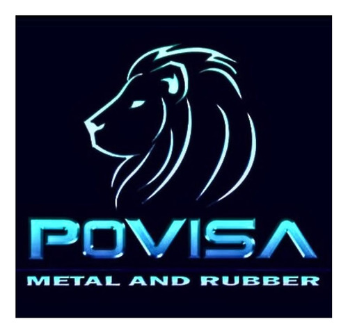 Par Machetas Cubre Polvo Dir. Std. Izq, Der Atos Todos 00-12